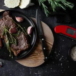 ETI Thermapen One Thermometer, Groen 11 ETI Thermapen One Thermometer, Groen -Potten & pannen Winkel eti thermapen one thermometer 62