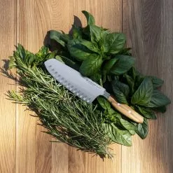 Wüsthof Amici Santokumes 17 Cm -Potten & pannen Winkel wusthof amici santokumes 17 cm 1